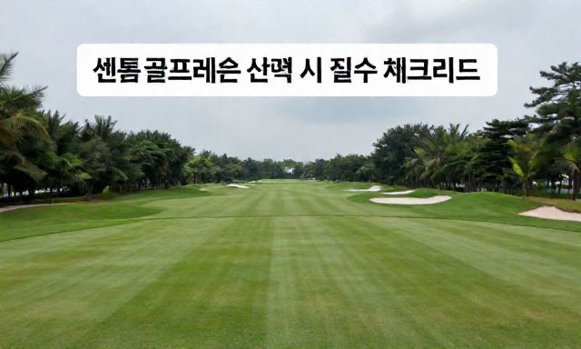 센텀골프레슨 참고 이미지 2